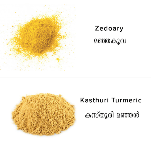 difference between Zedoary and kasthuri turmeric vasmika kasthuri manjal podi min